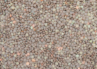 lentils pulse grain legume (Lens Culinaris) legumes vegetables food