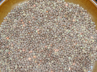lentils pulse grain legume (Lens Culinaris) legumes vegetables food