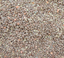 lentils pulse grain legume (Lens Culinaris) legumes vegetables food