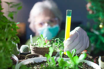 woman chemist experimenting with chemicals and plants holding a test tube with yellow fluid