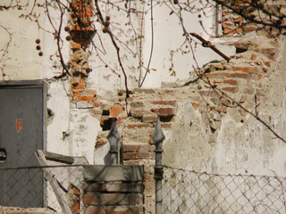 ruined house showing interiors