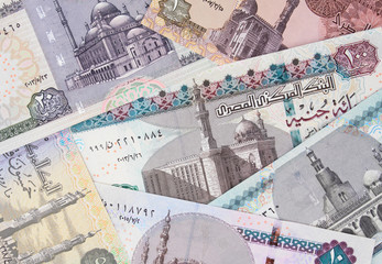 Fototapeta na wymiar Various Egypt pounds. Egyptian money currency. Egypt economy and investment.