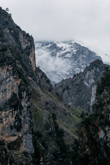 mountain peaks