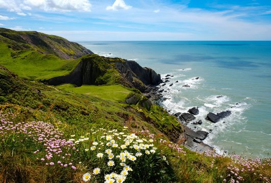 Steep coast, Hartland Quay, Hartland, Devon, England, Great Britain