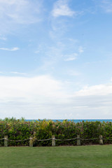 Grass, Plants, Ocean, Sky