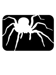 schwarz sport button spinne vogelspinne design clipart logo ekelig krabbeln monster horror halloween angst