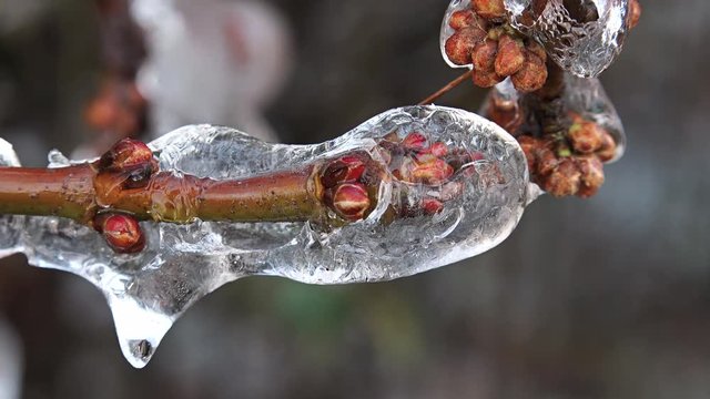 Nature covered with ice into beautiful structures