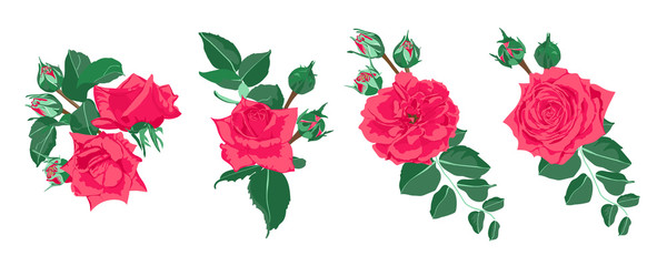 Wedding Card Invite Design, Vector Roses.
