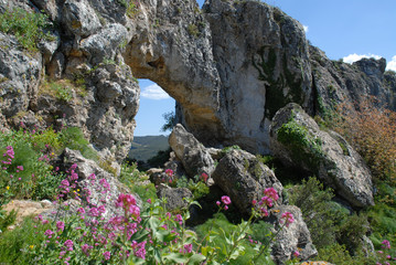 rocks and flowers, La Forada Rock Arch, Sierra de La Forada, Vall de Alcala, Alicante Province, Comunidad Valenciana, Spain