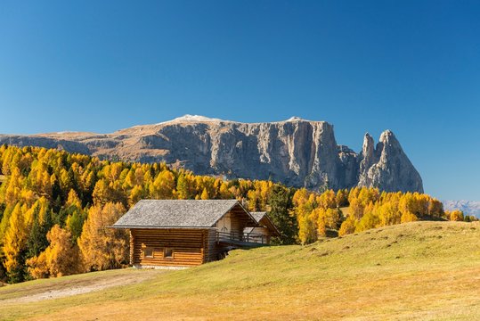 Autumnal Alpe di Siusi mountain pasture with view of the Sciliar massif, mountain hut, Sciliar, Dolomites, South Tyrol, Italy, Europe
