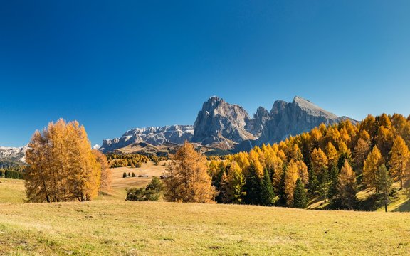 View over the autumnal Alpe di Sassolungo and Plattkofel, Dolomites, South Tyrol, Italy, Europe
