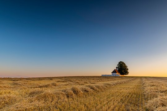 Sank Walburga Chapel in cornfield at Blue Hour, Kaufering, Bavaria, Germany, Europe