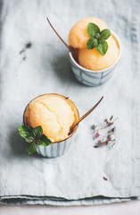 Fresh homemade grapefruit sorbet ice cream scoops in ceramic cups over linen napkin. Healthy vegan summer dessert - obrazy, fototapety, plakaty