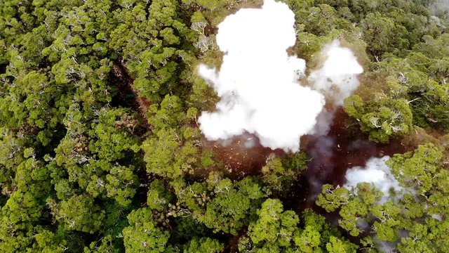 Explosion in forest