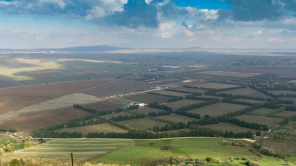 Israel desert 