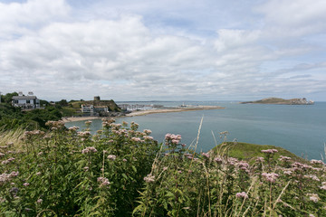Walking the Howth Cliff Path Loop