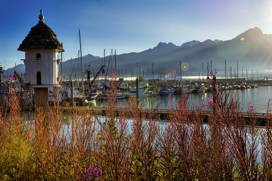 Harbor/Marina at Seward, Alaska