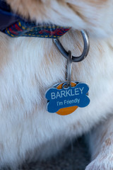 dog collar reading "BARKLEY, I'm Friendly"