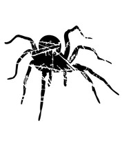 kratzer risse stempel alt spinne vogelspinne design clipart logo ekelig krabbeln monster horror halloween angst