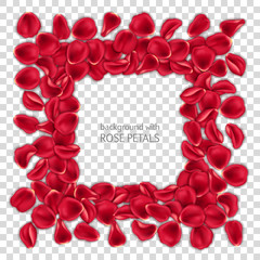 Square frame made of red rose petals on transparent background. Valentines Day card template