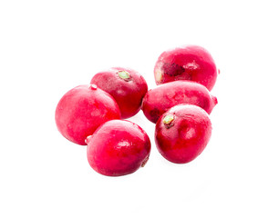 Fresh garden radish isolated on white background