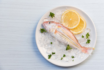 Seafood fish plate ocean gourmet fresh fish on ice lemon parsley on white plate table