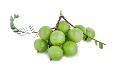 Indian gooseberry isolated on white background