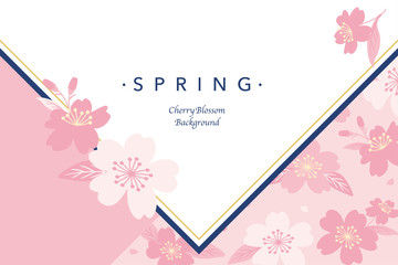 Pink cherry blossoms background illustration