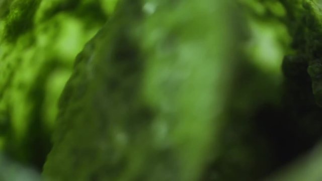 mixing pesto sauce close up slow mo