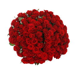 Huge bouquet of beautiful red roses on white background