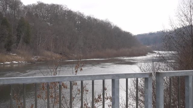 4K Winter Park Water Leaves Stream Bare Trees With Water Flowing