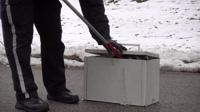 4K Animal Control Putting Sick Raccoon In Grey Carry Box Winter Time