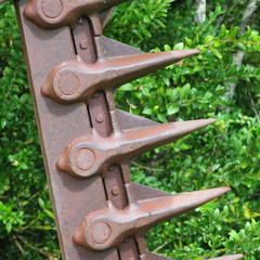 Teeth from antique horse-drawn sickle mower