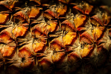 Fototapeta premium peel pineapple