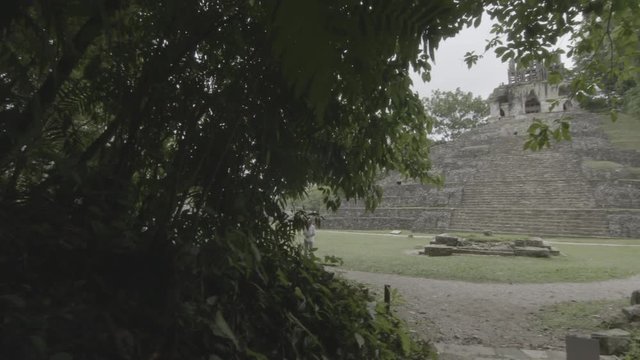 Jungle and Ancient Mexican Ruins