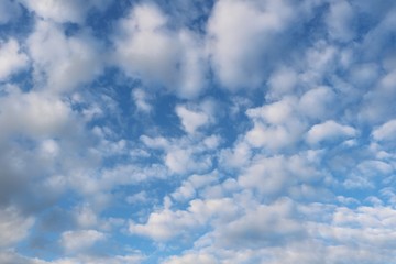 空　秋　午後　茨城