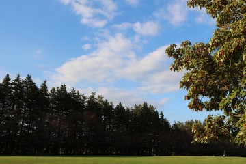 風景　冬　公園　茨城