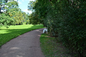 Fototapeta na wymiar Bend of ground road with bench for rest in shadow in the city park with trees it sunny summer day