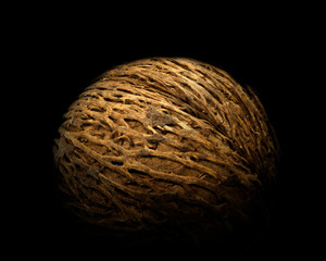 Amazing plant seed of Cerbera manghas, also called Pong pong seed, sea mango. On white background.