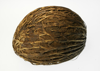 Amazing plant seed of Cerbera manghas, also called Pong pong seed, sea mango. On white background.