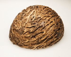 Amazing plant seed of Cerbera manghas, also called Pong pong seed, sea mango. On white background.