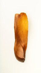 Fruit and Seed of Swietenia mahagoni, which is commonly known as American mahogany, small-leaved mahogany. It is the species from which the original mahogany wood was produced.White background.