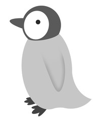 皇帝ペンギンのヒナ