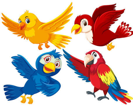Set of different birds