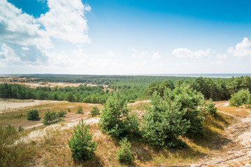 Landscape with yellow, sandy dunes, green, coniferous trees, blue sky and white clouds