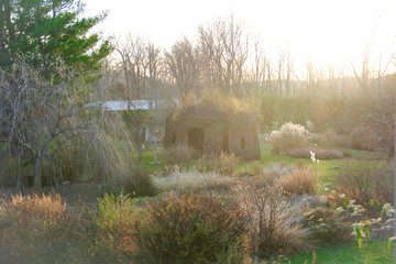 landscape with trees