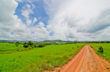 The dirt road on the savanna field leading to the horizon 