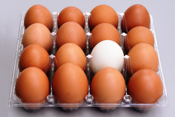 white egg in brown chicken eggs plastic box on gray background, easter and difference concept