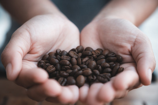 Closeup image of a woman's hands holding and showing coffee beans