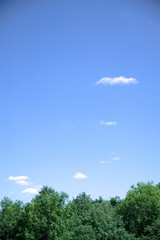 Obraz premium 맑음